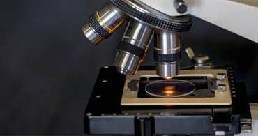 Microfiche-Scanning-And-Conversion
