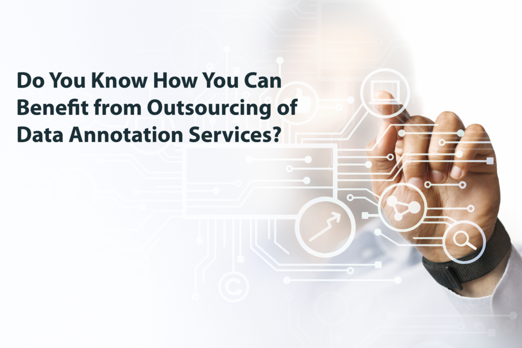 Data Annotation Services